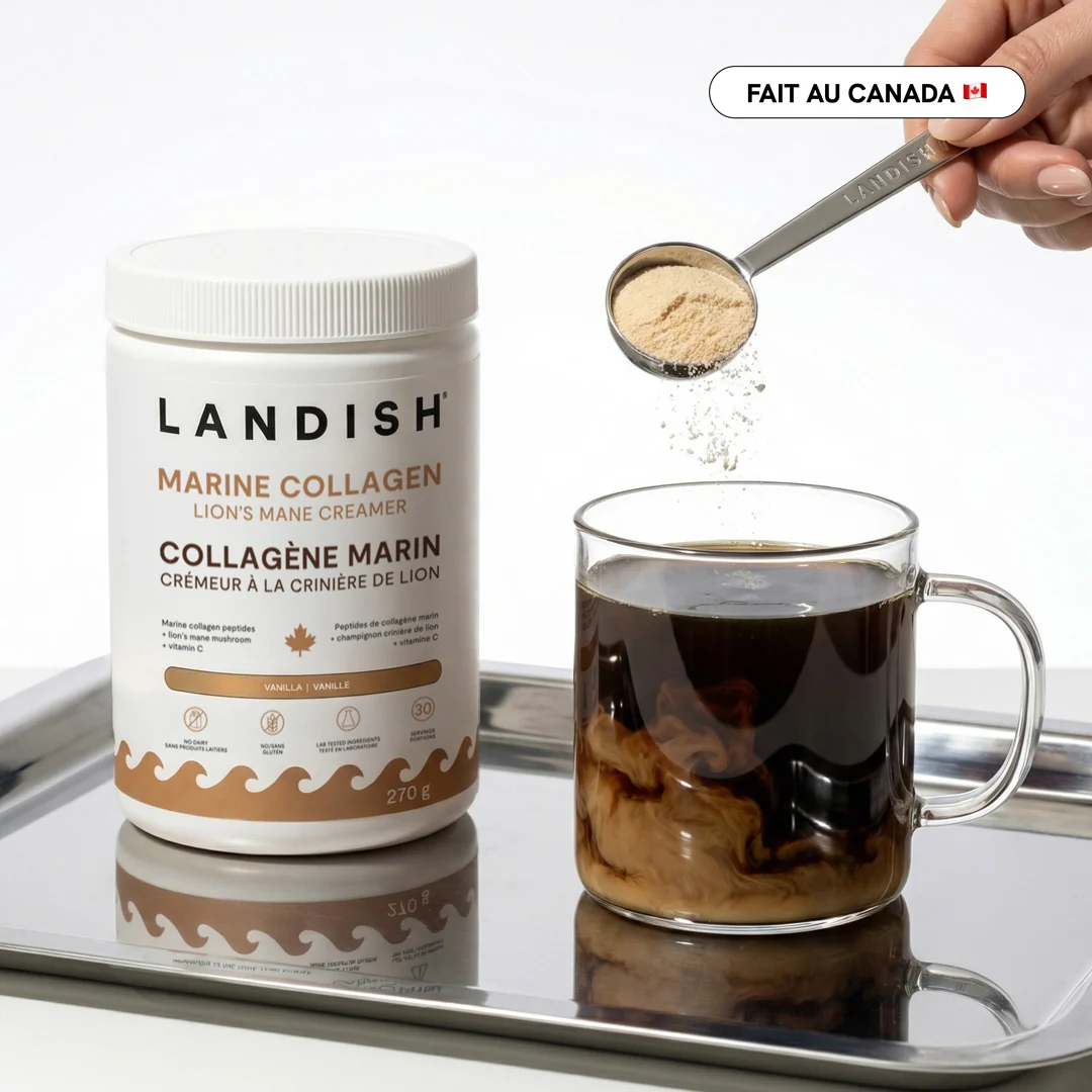 LANDISH - Collagène marin crémeur à café