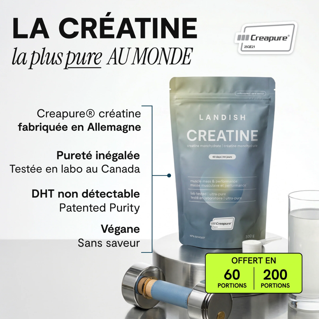 LANDISH - Créatine monohydrate (200 portions)