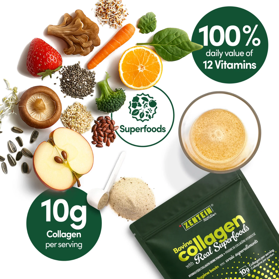 ZENTEIN - Collagène bovin avec vraie superaliments
